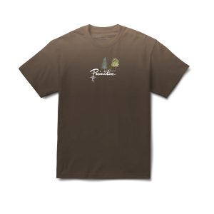 CAMISETA MANGA CORTA HOMBRE ROOTS HW TEE